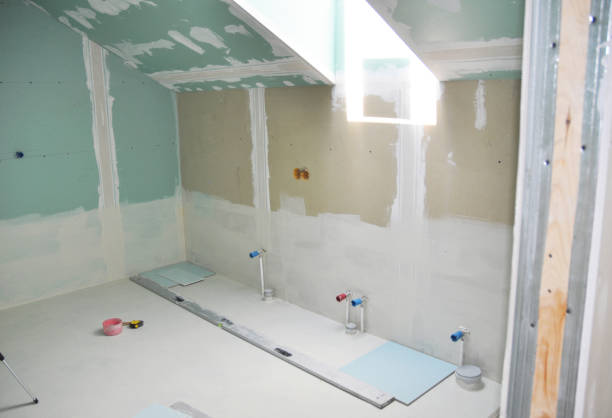 Mold Odor Removal Services in Bridgeview, IL