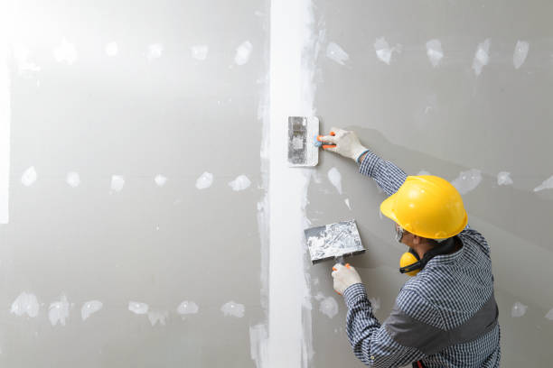 Best Post-Construction Mold Inspection  in Bridgeview, IL