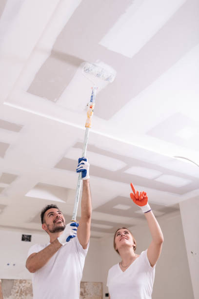 Best HVAC Mold Inspection and Cleaning  in Bridgeview, IL