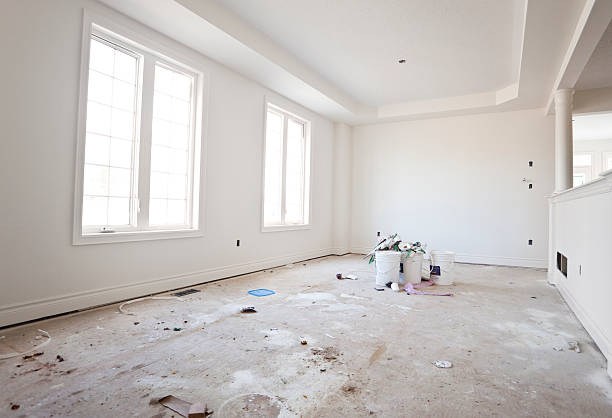 Best Mold-Related Health Consultation  in Bridgeview, IL