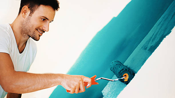 Bridgeview, IL Mold Removal Company