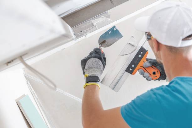 Best Airborne Mold Testing  in Bridgeview, IL